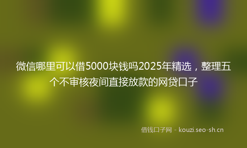 微信哪里可以借5000块钱吗2025年精选，整理五个不审核夜间直接放款的网贷口子