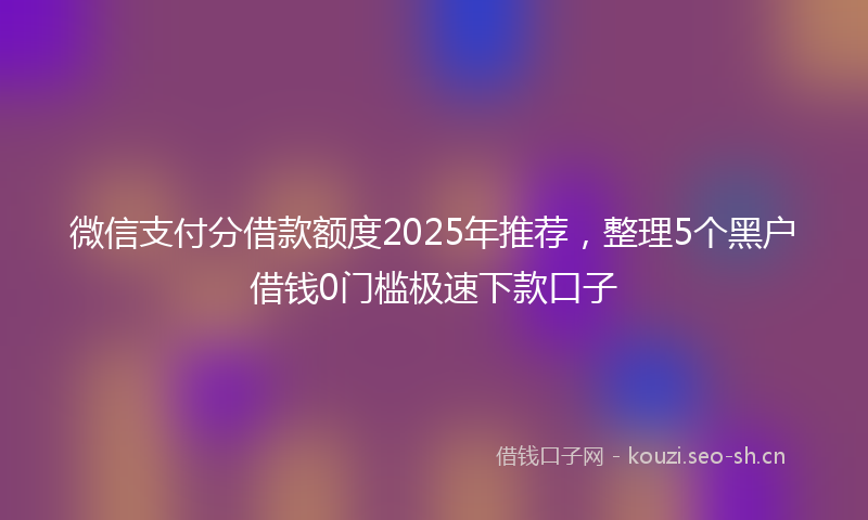 微信支付分借款额度2025年推荐，整理5个黑户借钱0门槛极速下款口子