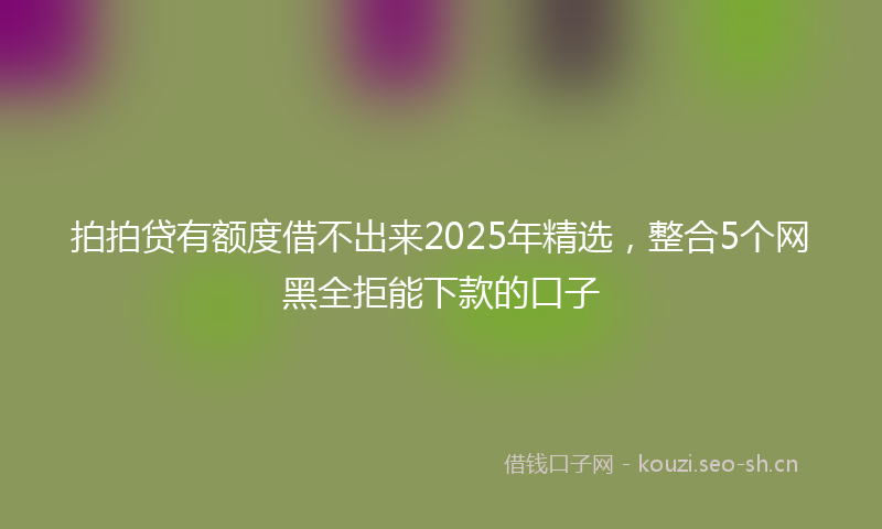拍拍贷有额度借不出来2025年精选，整合5个网黑全拒能下款的口子