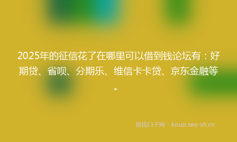 2025年的征信花了在哪里可以借到钱论坛有：好期贷、省呗、分期乐、维信卡卡贷、京东金融等。