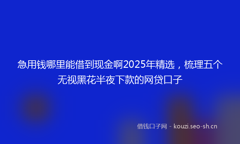 急用钱哪里能借到现金啊2025年精选，梳理五个无视黑花半夜下款的网贷口子