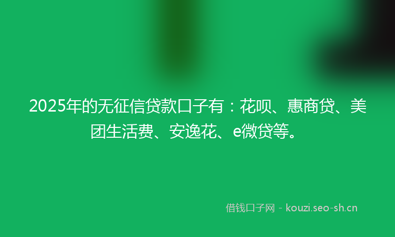 2025年的无征信贷款口子有：花呗、惠商贷、美团生活费、安逸花、e微贷等。