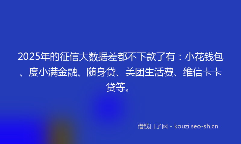 2025年的征信大数据差都不下款了有：小花钱包、度小满金融、随身贷、美团生活费、维信卡卡贷等。