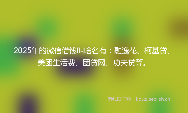 2025年的微信借钱叫啥名有：融逸花、柯基贷、美团生活费、团贷网、功夫贷等。