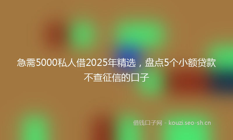 急需5000私人借2025年精选，盘点5个小额贷款不查征信的口子