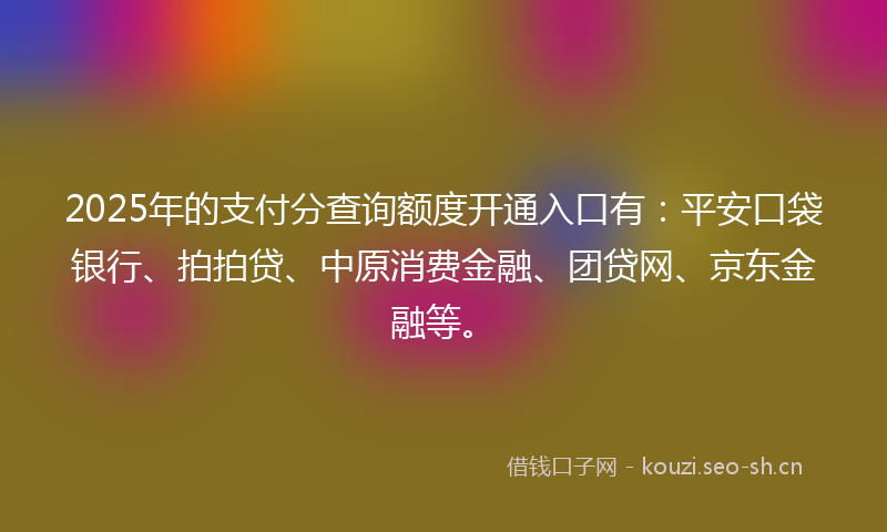 2025年的支付分查询额度开通入口有：平安口袋银行、拍拍贷、中原消费金融、团贷网、京东金融等。