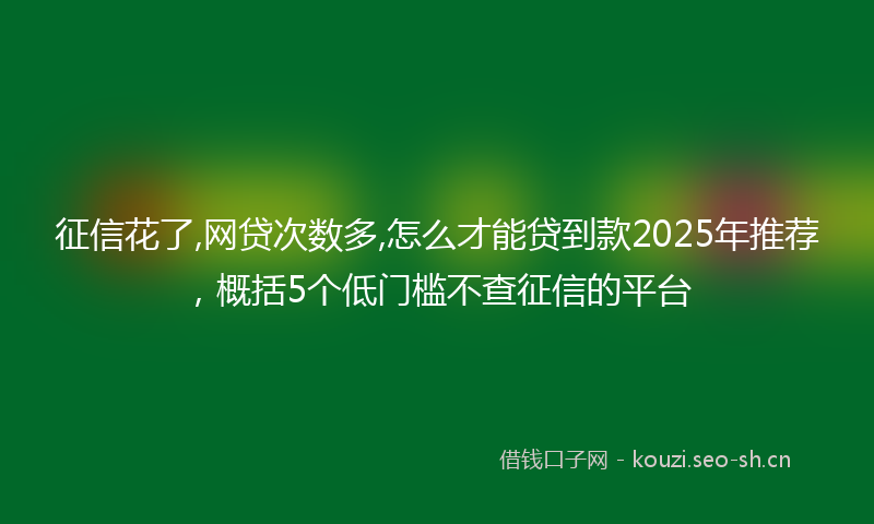 征信花了,网贷次数多,怎么才能贷到款2025年推荐，概括5个低门槛不查征信的平台