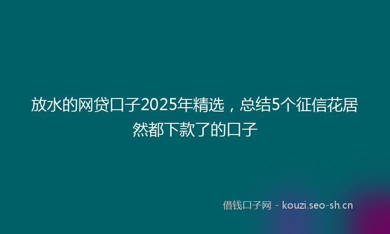 放水的网贷口子2025年精选，总结5个征信花居然都下款了的口子