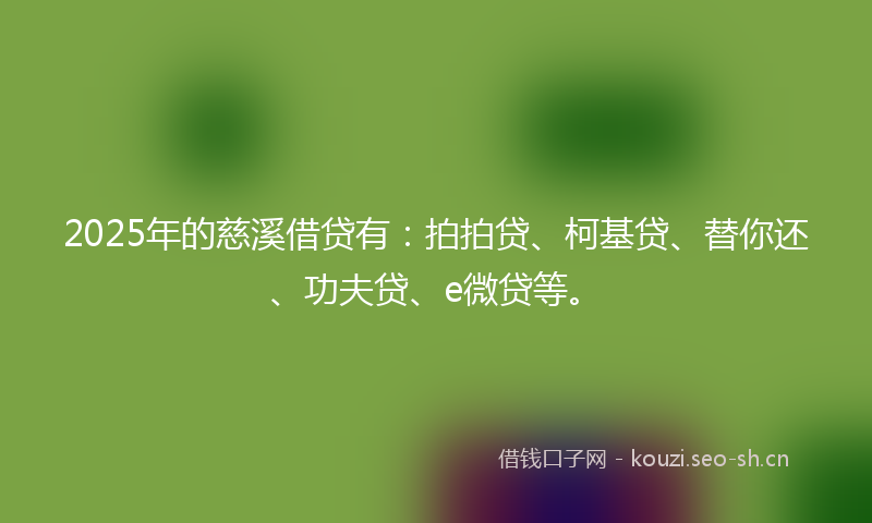 2025年的慈溪借贷有：拍拍贷、柯基贷、替你还、功夫贷、e微贷等。