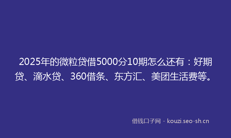 2025年的微粒贷借5000分10期怎么还有：好期贷、滴水贷、360借条、东方汇、美团生活费等。