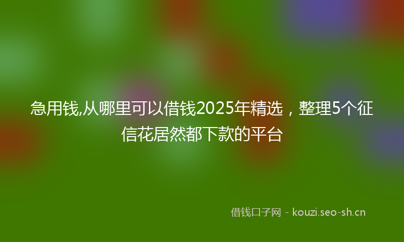 急用钱,从哪里可以借钱2025年精选，整理5个征信花居然都下款的平台