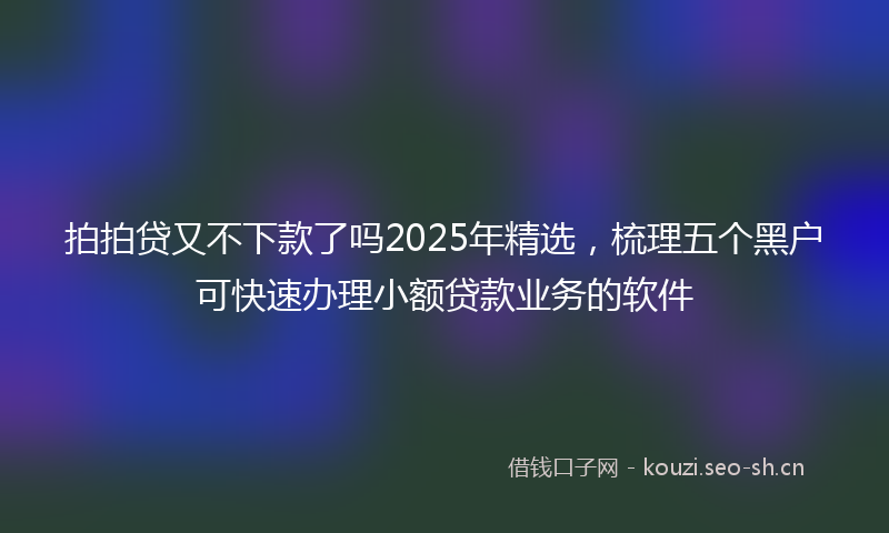 拍拍贷又不下款了吗2025年精选，梳理五个黑户可快速办理小额贷款业务的软件