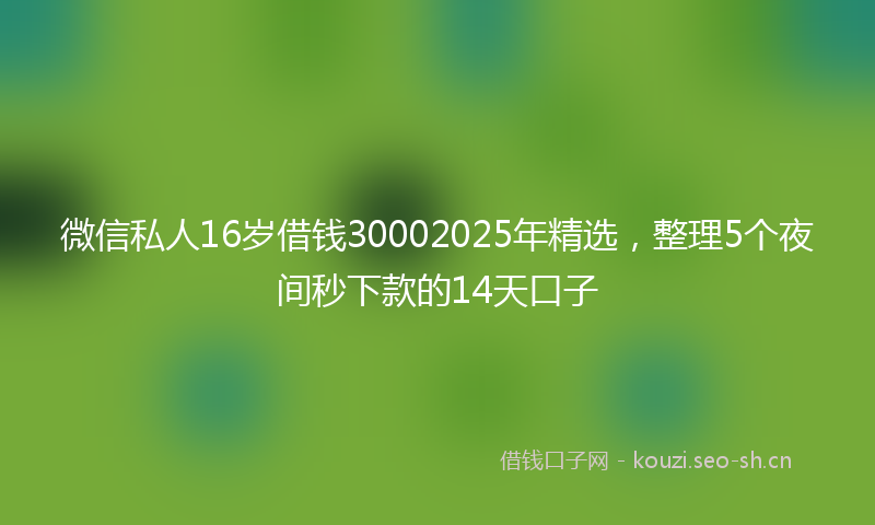 微信私人16岁借钱30002025年精选，整理5个夜间秒下款的14天口子