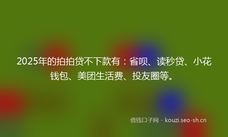 2025年的拍拍贷不下款有：省呗、读秒贷、小花钱包、美团生活费、投友圈等。