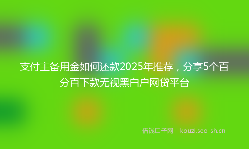 支付主备用金如何还款2025年推荐，分享5个百分百下款无视黑白户网贷平台