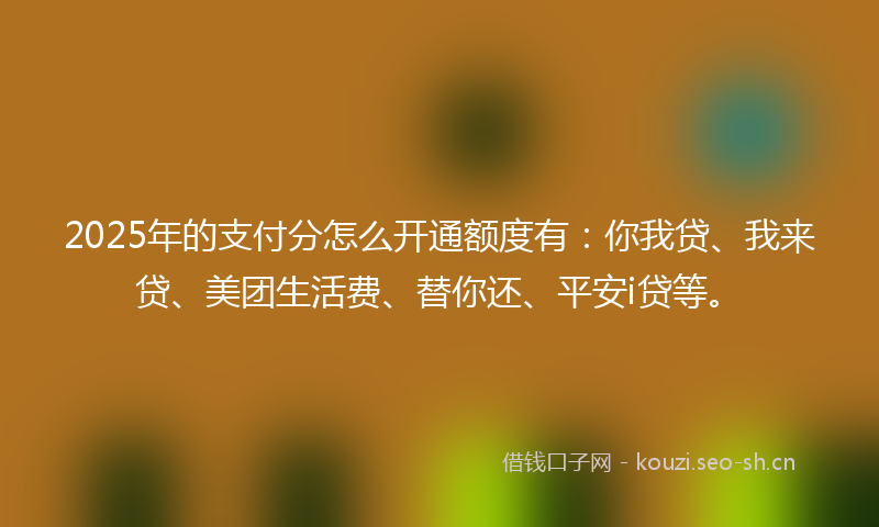 2025年的支付分怎么开通额度有：你我贷、我来贷、美团生活费、替你还、平安i贷等。