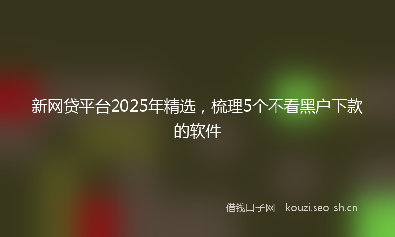 新网贷平台2025年精选，梳理5个不看黑户下款的软件