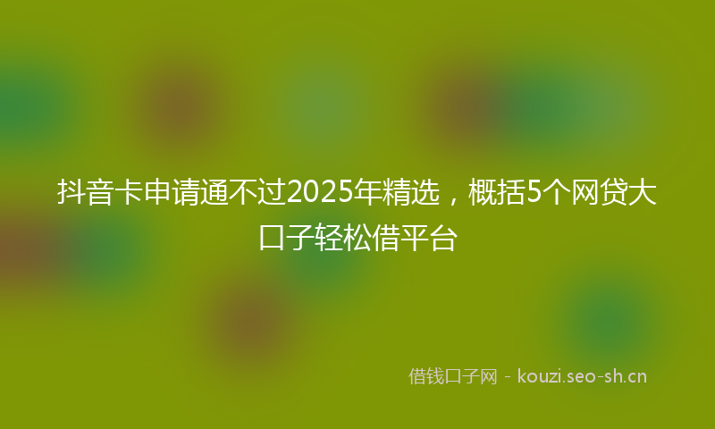 抖音卡申请通不过2025年精选，概括5个网贷大口子轻松借平台