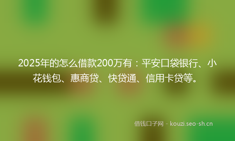 2025年的怎么借款200万有：平安口袋银行、小花钱包、惠商贷、快贷通、信用卡贷等。