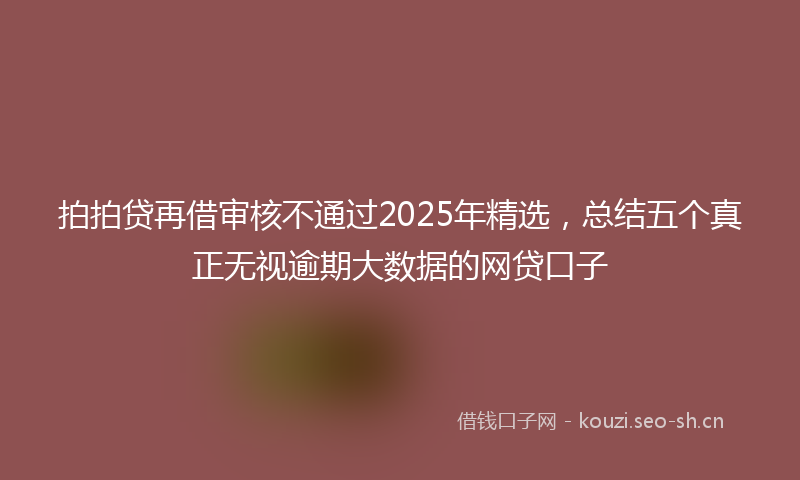拍拍贷再借审核不通过2025年精选,总结五个真正无视逾期大数据的网贷口子