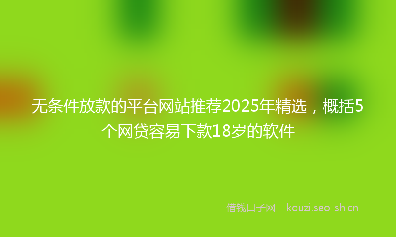 无条件放款的平台网站推荐2025年精选，概括5个网贷容易下款18岁的软件