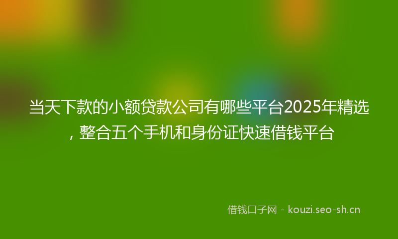 当天下款的小额贷款公司有哪些平台2025年精选，整合五个手机和身份证快速借钱平台