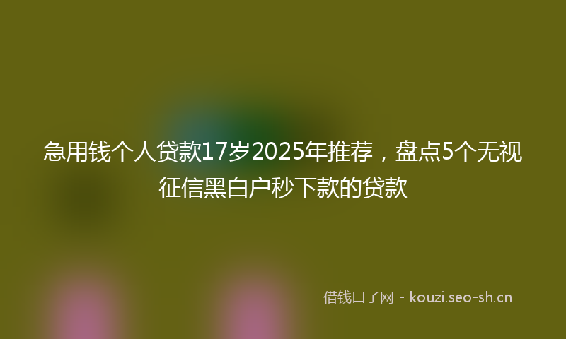 急用钱个人贷款17岁2025年推荐，盘点5个无视征信黑白户秒下款的贷款