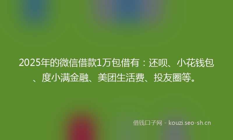 2025年的微信借款1万包借有：还呗、小花钱包、度小满金融、美团生活费、投友圈等。