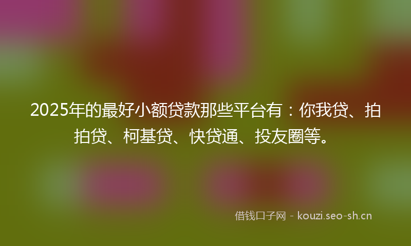 2025年的最好小额贷款那些平台有：你我贷、拍拍贷、柯基贷、快贷通、投友圈等。