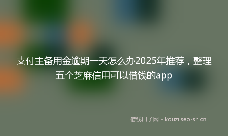支付主备用金逾期一天怎么办2025年推荐，整理五个芝麻信用可以借钱的app