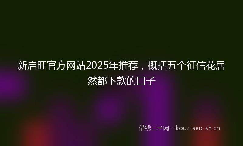 新启旺官方网站2025年推荐，概括五个征信花居然都下款的口子