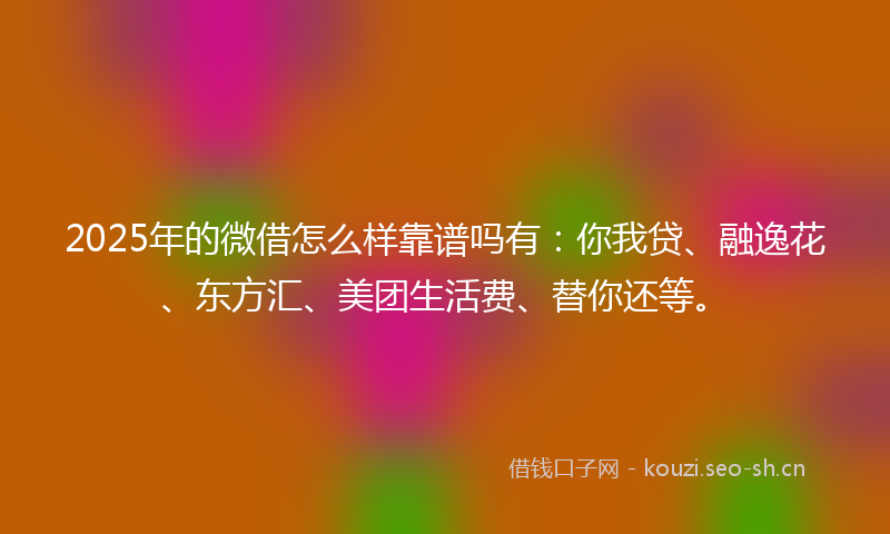 2025年的微借怎么样靠谱吗有：你我贷、融逸花、东方汇、美团生活费、替你还等。