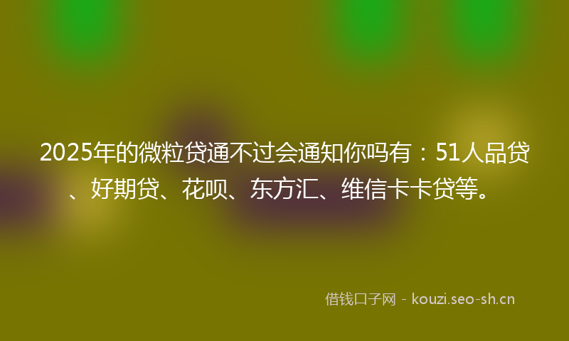 2025年的微粒贷通不过会通知你吗有：51人品贷、好期贷、花呗、东方汇、维信卡卡贷等。