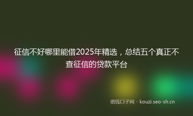 征信不好哪里能借2025年精选，总结五个真正不查征信的贷款平台