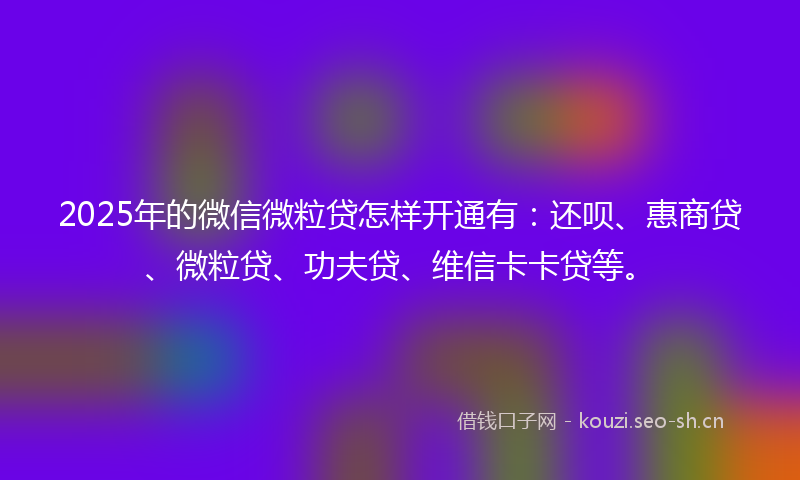 2025年的微信微粒贷怎样开通有：还呗、惠商贷、微粒贷、功夫贷、维信卡卡贷等。
