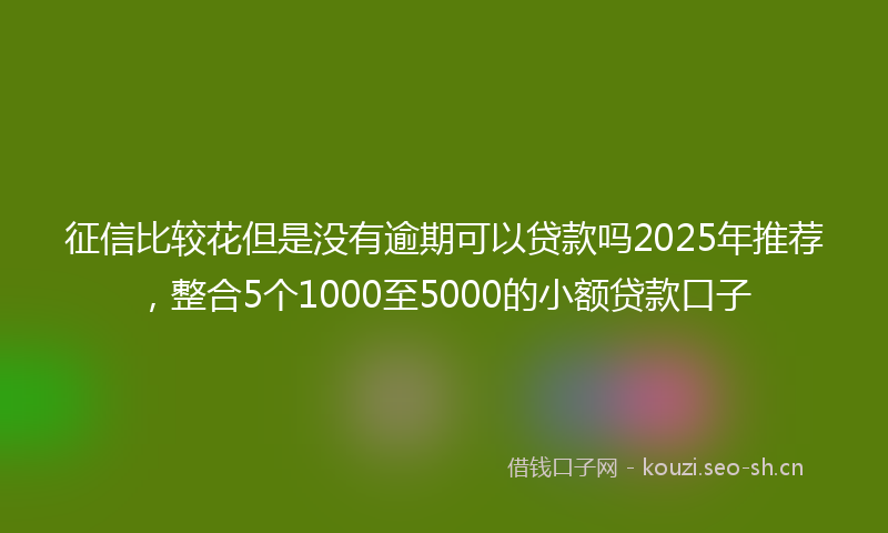 征信比较花但是没有逾期可以贷款吗2025年推荐，整合5个1000至5000的小额贷款口子