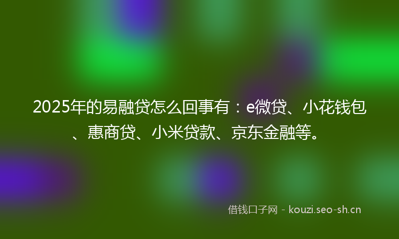 2025年的易融贷怎么回事有：e微贷、小花钱包、惠商贷、小米贷款、京东金融等。