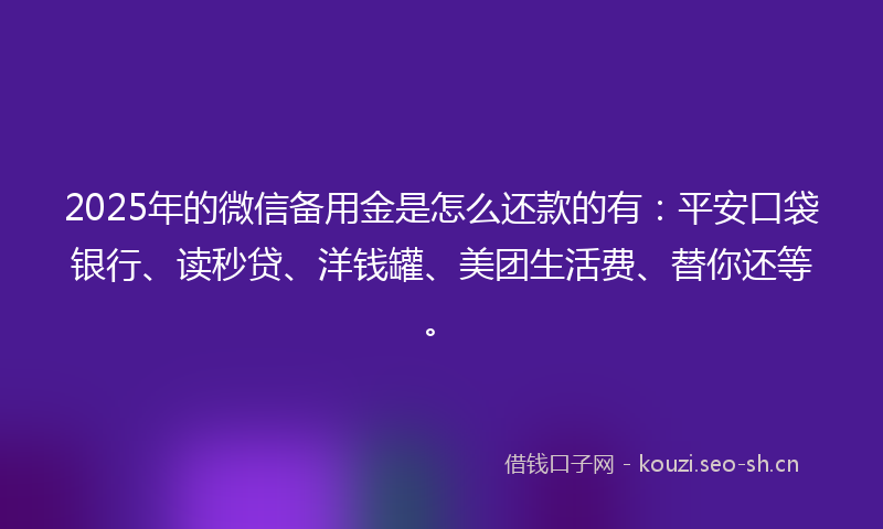 2025年的微信备用金是怎么还款的有：平安口袋银行、读秒贷、洋钱罐、美团生活费、替你还等。