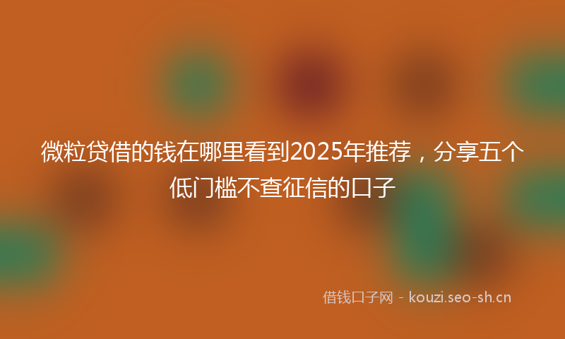 微粒贷借的钱在哪里看到2025年推荐，分享五个低门槛不查征信的口子