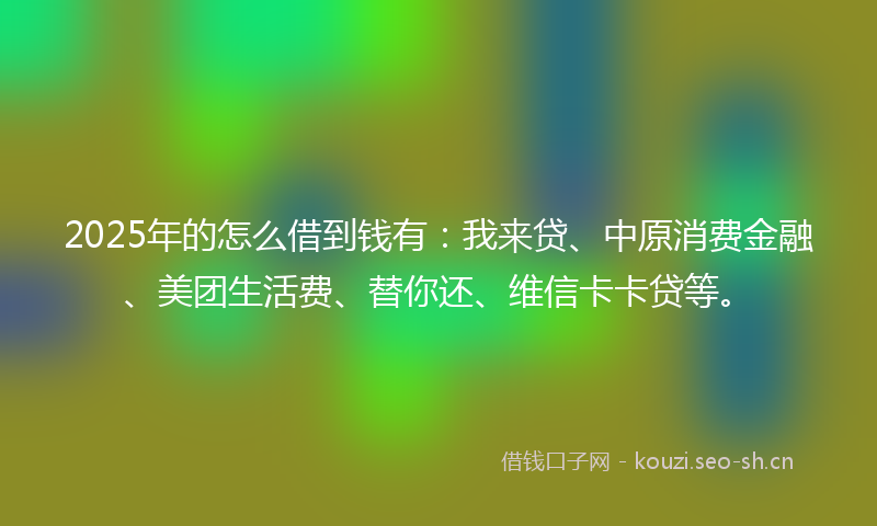 2025年的怎么借到钱有：我来贷、中原消费金融、美团生活费、替你还、维信卡卡贷等。