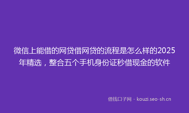 微信上能借的网贷借网贷的流程是怎么样的2025年精选，整合五个手机身份证秒借现金的软件