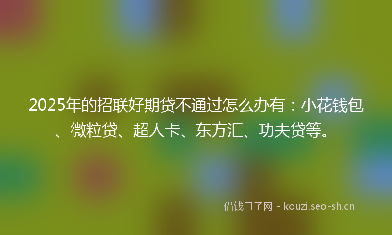 2025年的招联好期贷不通过怎么办有：小花钱包、微粒贷、超人卡、东方汇、功夫贷等。