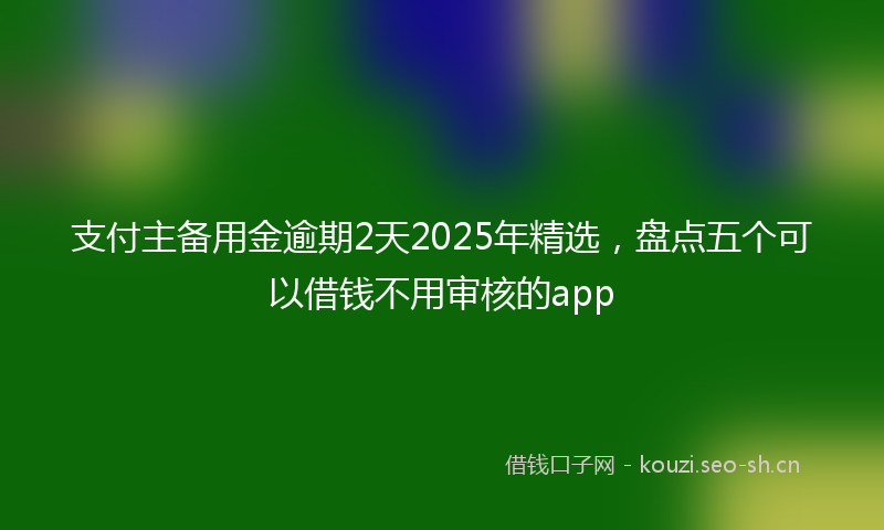 支付主备用金逾期2天2025年精选,盘点五个可以借钱不用审核的app