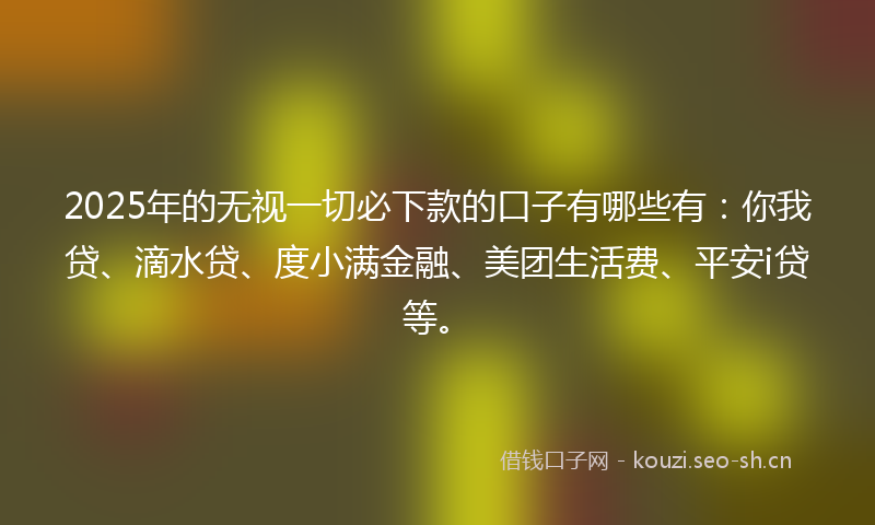 2025年的无视一切必下款的口子有哪些有：你我贷、滴水贷、度小满金融、美团生活费、平安i贷等。