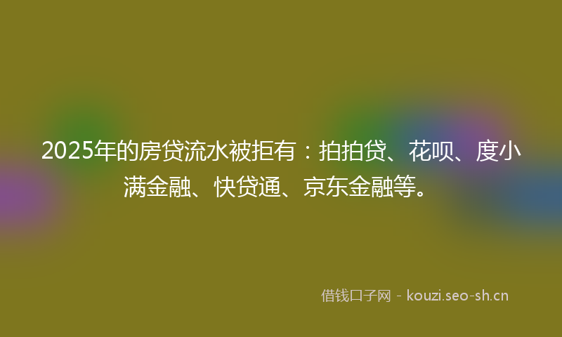 2025年的房贷流水被拒有：拍拍贷、花呗、度小满金融、快贷通、京东金融等。