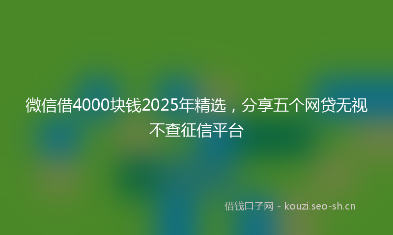 微信借4000块钱2025年精选，分享五个网贷无视不查征信平台