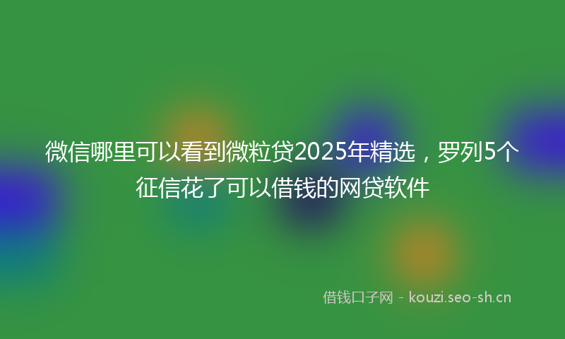 微信哪里可以看到微粒贷2025年精选，罗列5个征信花了可以借钱的网贷软件