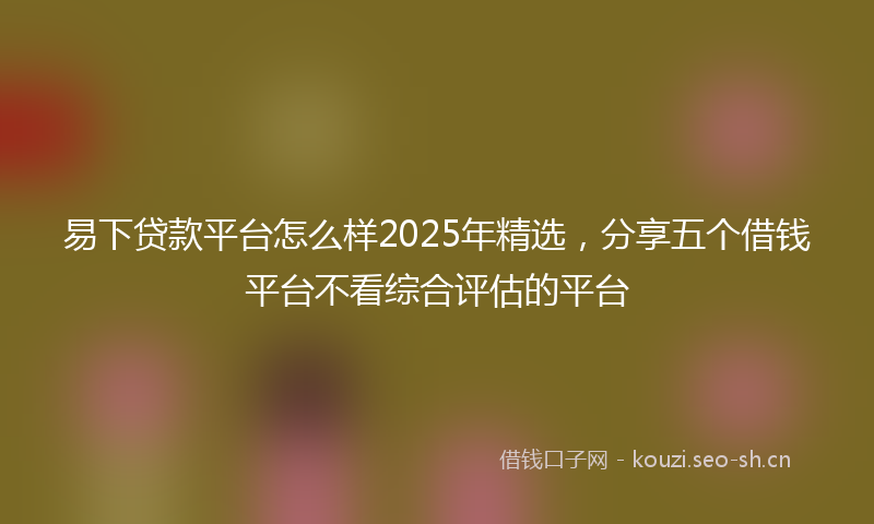 易下贷款平台怎么样2025年精选，分享五个借钱平台不看综合评估的平台