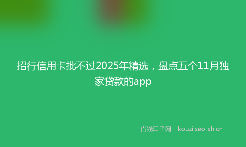 招行信用卡批不过2025年精选，盘点五个11月独家贷款的app