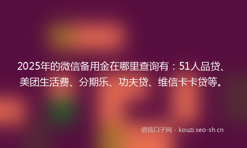 2025年的微信备用金在哪里查询有：51人品贷、美团生活费、分期乐、功夫贷、维信卡卡贷等。